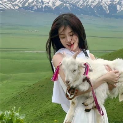 探案新窍门 第五季